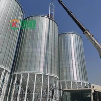 Silo à grains en acier galvanisé à capacité personnalisable KC, avec fond conique, filtre anti-poussière intégré et système de ventilation