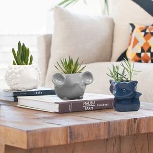 Macetas de Cerámica al por Mayor, Macetas de Flores con Diseño de Animales de Dibujos Animados, Rata, Búho, Zorro, Oso, Cactus, Mini Macetas de Cerámica para Suculentas - Product Image 2