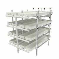 Grande ferme herbe culture hydroponique fourrage machine orge vert fourrage fourrage plateaux de culture hydroponique