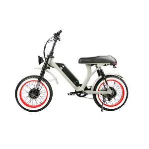 2022 Hot Ontwerp Elektrische Stadsfiets Elektrische Fiets Fat Tire Elektrische Fiets Lange Afstand 20Ah 250W/500W/1000W Dual Motor Bike