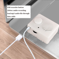 Module sonore enregistrable pour jouet en peluche en forme d'ours, boîte vocale pour Build-A-Bear, prix abordable