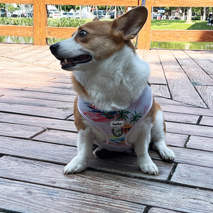 时尚奢华设计师可逆套装狗背带定制狗手帕宠物项圈个性化无拉氯丁橡胶狗Har套装 - Product Image 4