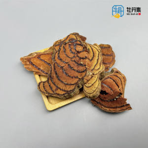 หม้ออบแห้ง spatholobi suberect <span class=keywords><strong>spatholobus</strong></span> ก้านหั่นบางๆดิบแปรรูปคุณภาพสูงชา Ji Xue teng - Product Image 4