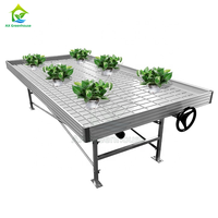 Table de culture hydroponique à flux et reflux de haute qualité 4x12 pieds pour culture hors sol en intérieur, banc roulant pour serre