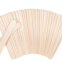 Bâtonnets de glace en bois biodégradables jetables, logo personnalisé, écologiques, logo imprimé sur mesure, vente en gros, pas cher, faits maison