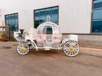 Chariot de Mariage Cendrillon Citrouille Rose Métallique - Transport Spécial à Vendre