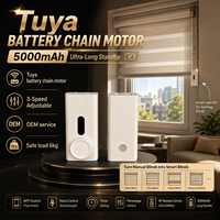 Moteur de rideau intelligent pour la maison, compatible Alexa, 3 vitesses réglables, alimenté par batterie 5000 mAh, OEM Tuya Smart