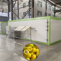 Secador de Bandejas para Frutas con Bomba de Calor, Máquina Secadora de Ciruelas Blancas, Máquina para Secar Ciruelas