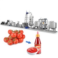 Ligne de production automatique de concentré de tomate 500 kg