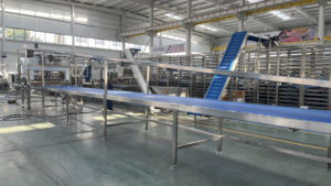 Máquina <span class=keywords><strong>para</strong></span> Hacer Algodón <span class=keywords><strong>de</strong></span> Azúcar Totalmente Automática <span class=keywords><strong>para</strong></span> una Preparación Rápida y Fácil <span class=keywords><strong>de</strong></span> Postres con Pantalla Táctil PLC - Product Image 5