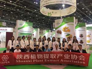 Organik Schizandra chinensis meyve tozu wu wei zi <span class=keywords><strong>schisandra</strong></span> chinensis berry özü tozu Schisandrins - Product Image 3