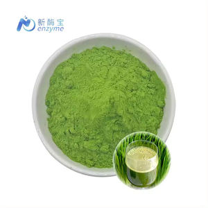Novenzyme Fornece Pó de Suco de Grama de Cevada Orgânico a Granel, Pó Super Verde - Product Image 1