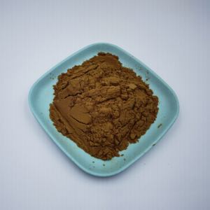 Bột <span class=keywords><strong>Bupleurum</strong></span> Chiết xuất rễ cây Thổ Nhĩ Kỳ tự nhiên 10:1 Chiết xuất <span class=keywords><strong>Bupleurum</strong></span> - Product Image 2