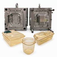 Moule d'injection PPSU personnalisé pour conteneur de stockage en plastique de qualité alimentaire, haute précision, multi-cavités, fabrication en gros
