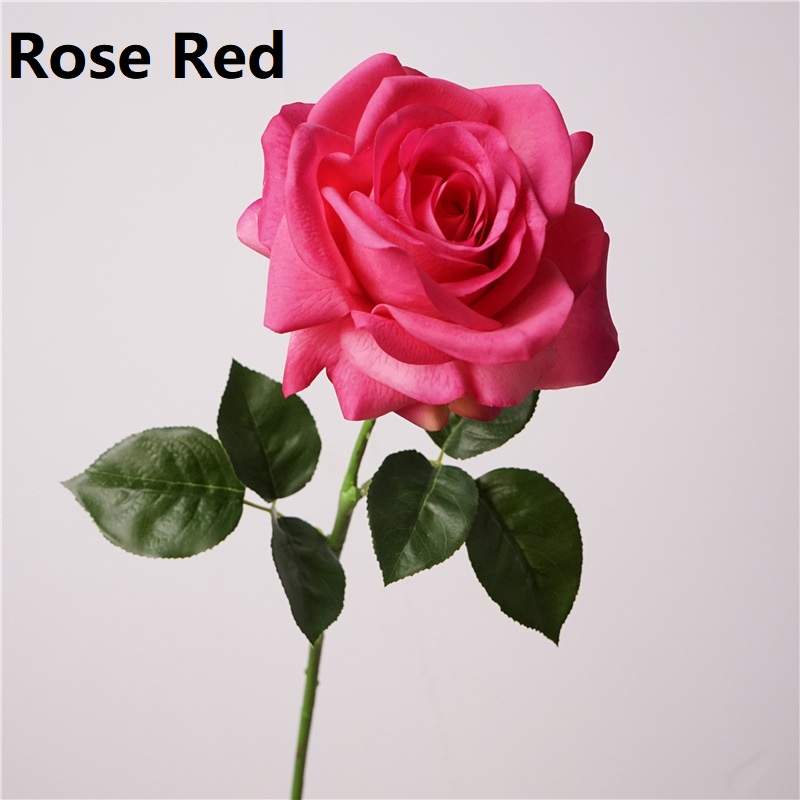 Rose Red