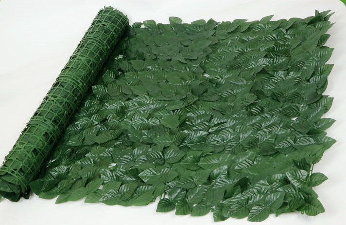 Lierre vert foncé