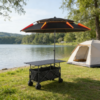Chariot de camping pliable OEM en gros, grand format, réglable, équipé d'un parasol, plateforme en tissu épaissi, en acier, imperméable