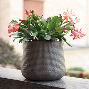 Macetas de Plástico para Jardín, Macetas para Orquídeas de Exterior, en Oferta - Product Image 2