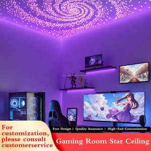 Bầu trời đầy sao sợi quang ánh sáng Trần cho nhà phòng khách phòng ngủ rạp hát tại nhà Izakaya nhà hàng trang trí nội thất dẫn nguồn nhựa cơ thể - Product Image 6