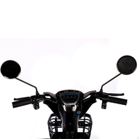 VENTE FLASH 600W 48V Tricycle cargo électrique 3 roues Vélo électrique vintage Longue portée Livraison Ebike avec grand panier