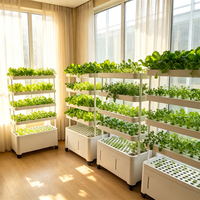 Système hydroponique vertical intelligent Seedafarm pour usage domestique avec culture sans sol à plusieurs niveaux pour légumes et semis