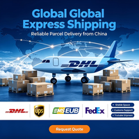 Tarifs compétitifs pour le transport aérien DDP de Chine vers les États-Unis – Agent d'expédition rapide et fiable pour le dropshipping avec service excellent