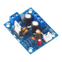 Module d'amplificateur audio mono canal 20W DIY, kit de carte d'amplificateur de haut-parleur portable avec accessoires PCB