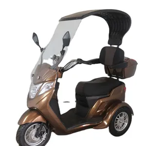 Elettrico a tre ruote moto passeggero trike elettrico scooter per adulti con batteria al piombo