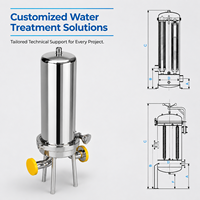 Vase sous pression filtrant en acier inoxydable pour ligne de production, à cartouche unique, avec vannes de protection, pour purification, 100 L/heure, fonctionnement automatique