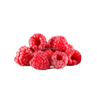 China Nuevos productos Exportados Buena calidad Frambuesas congeladas Fruta congelada 95/05 a granel 100% Fruta
