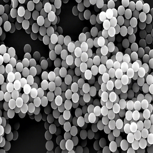 Perles magnétiques d'ester NHS à haute réactivité pour l'attachement des anticorps, la purification des protéines et les applications de biologie moléculaire - Product Image 1