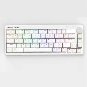 2023 new arrivals mechanical rgb keyboard with hot swapanle key's for tablet