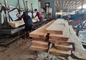 Revestimiento de pared de listones de madera de pino Radiata imprimado, moldura de zócalo con ranuras, decoración del hogar DIY - Product Image 6