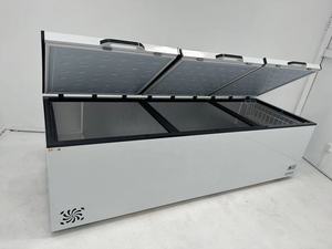 Offre Spéciale congélateur commercial bas prix 1000 litres <span class=keywords><strong>petite</strong></span> <span class=keywords><strong>vitrine</strong></span> Double porte refroidissement par air rapide livraison gratuite pour un usage domestique - Product Image 6