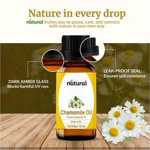 Aceite Esencial de Manzanilla Orgánico Natural de 30 ml, Aceite Aromático <span class=keywords><strong>para</strong></span> Aromaterapia, Difusor, Cuidado de <span class=keywords><strong>la</strong></span> Piel, Cuidado del Cabello, Perfume, Fabricación de Velas - Product Image 2