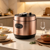 Cuisinière électrique à pression de grande capacité 6L, cuve intérieure en acier inoxydable 304, double tension 110V 220V, multicuiseur 12-en-1, OEM