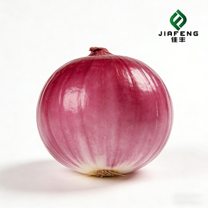 Meilleur fournisseur d'oignons frais épicés de Chine (Jiafeng) Petit oignon rouge naturel Importateur avec emballage personnalisé - Product Image 3