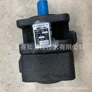 YB1-10 Componentes Hidráulicos de Shanghái, Variedad de Tamaños 2.5-63, Categoría de Producto: Bombas Hidráulicas - Product Image 1