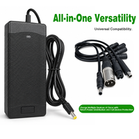 Chargeur de batterie au lithium professionnel 42V 2A pour trottinette électrique, vélo électrique, batterie au lithium, DC 5.5*2.1mm XLR GX16, connexion personnalisée