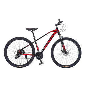 Bicicleta MTB 29 inch chuyên nghiệp MTB chu kỳ được xây dựng cho người lớn tay đua trong thị trường xe đạp toàn cầu - Product Image 4