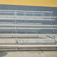 Nouvelles cages de type A pour poulets de chair et poules pondeuses, en acier galvanisé à chaud, pour 96-160 poulets, élevage avicole