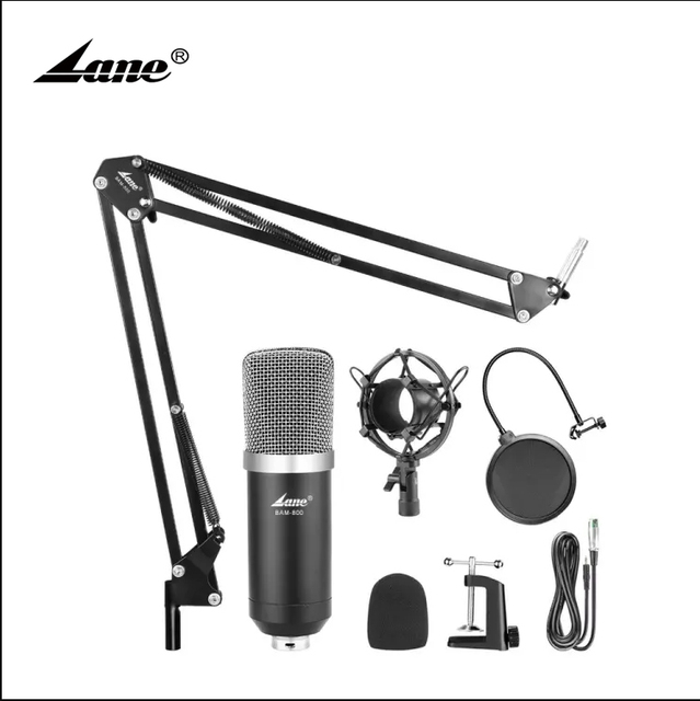 Lane BM-800 Computer Bm800 Professional Studio Condenser Sound Recording Microphone Ce Wired Handheld Microphone -