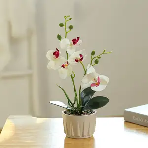 NISEVEN sıcak satış Phalaenopsis orkide çiçek bitkiler saksı yapay kelebek orkide Bonsai iç dekorasyon için