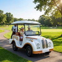 Voiture électrique de tourisme rétro Tarion Custom 5 places, moteur AC 4,0 kW, 30 km/h, batterie sans entretien, pour hôtels et complexes hôteliers