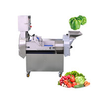 Industriële bladgroente snijmachine, automatische fruitchips snijmachine, snijder en blokjesmachine