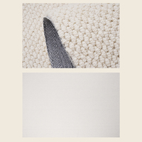 Tapis antidérapant, style nordique, tapis et carpettes pour salon, style simple, tapis en laine pelucheuse, grand format pour salon