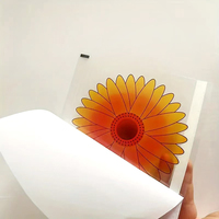 PD Window Fruit Fly Traps Sterke kleefkracht Solide Milieuvriendelijk Waterdicht Wegwerp Caterpillar Stickers voor binnengebruik 60 stuks