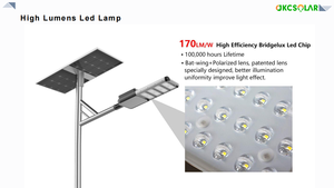 Lampadaire Solaire <span class=keywords><strong>LED</strong></span> 30W 40W LiFePO4 IP66 Tout-en-un Semi-intégré avec Contrôle IoT Intelligent et Capteur Micro-ondes – Meilleures Ventes - Product Image 4