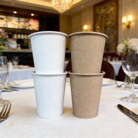 Produits en pulpe de bagasse de canne à sucre 9oz 12oz 16oz, vaisselle jetable écologique, comprenant des couvercles et des assiettes à café