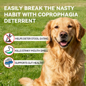 Geen Poephondensupplementen Natuurlijke Prebiotica & Pompoen, Bevordert Een Gezond Spijsverteringssysteem, Ondersteunt De Darmflora Voor Alle Rassen En Leeftijden - Product Image 4